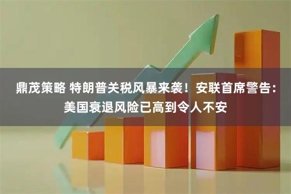 鼎茂策略 特朗普关税风暴来袭！安联首席警告：美国衰退风险已高到令人不安