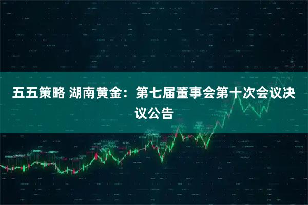 五五策略 湖南黄金：第七届董事会第十次会议决议公告